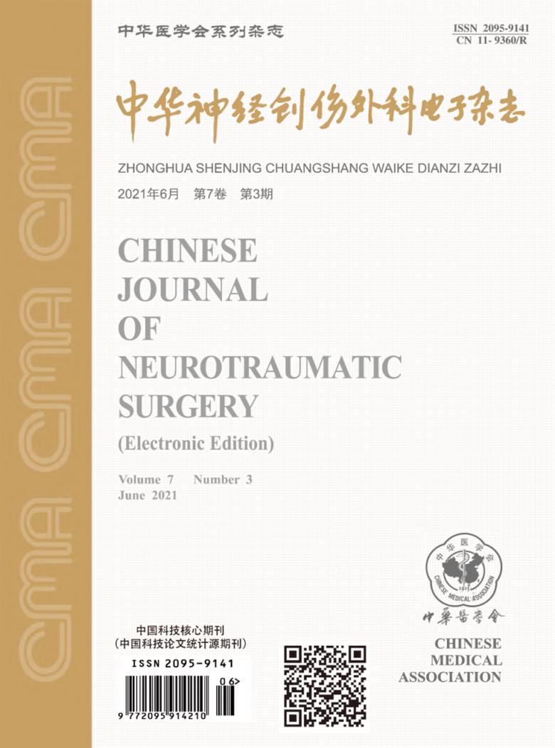 中华神经创伤外科电子封面