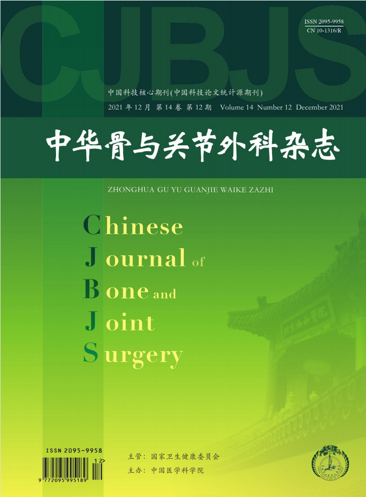 中华骨与关节外科封面