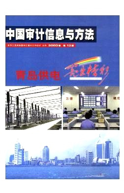 中国审计信息与方法封面