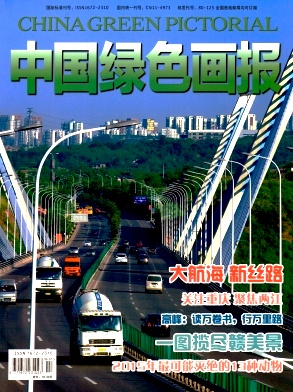 中国绿色画报封面