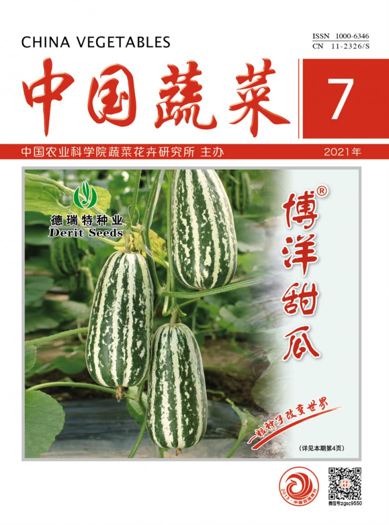 中国蔬菜封面