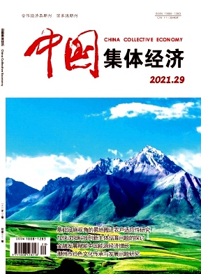 中国集体经济封面