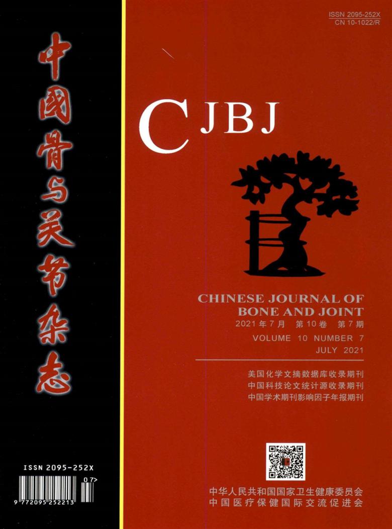中国骨与关节封面