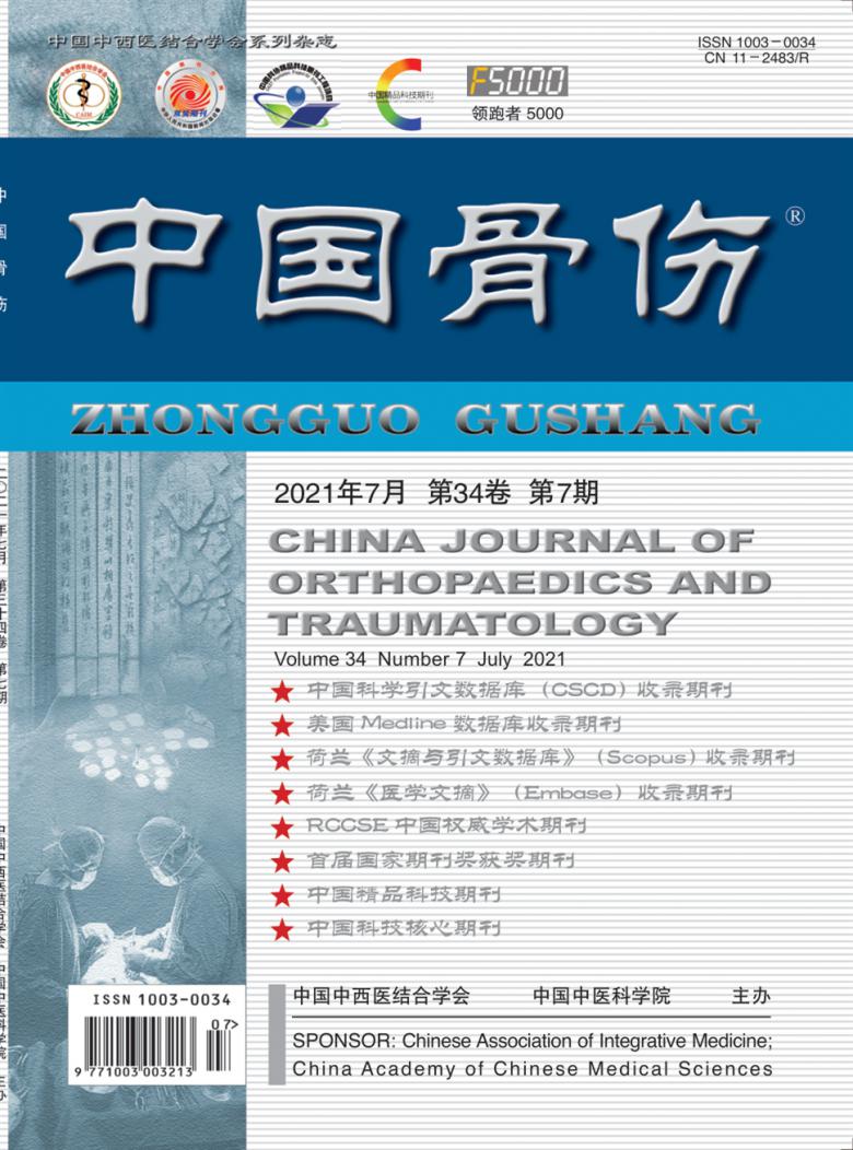中国骨伤封面