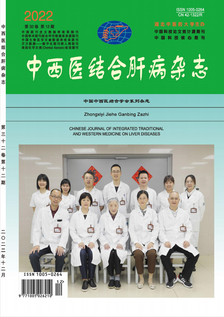 中西医结合肝病封面