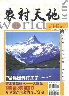 农村天地封面