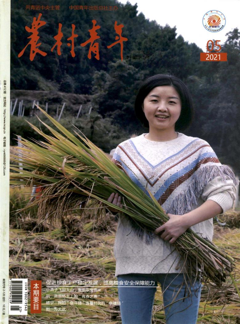 农村青年封面