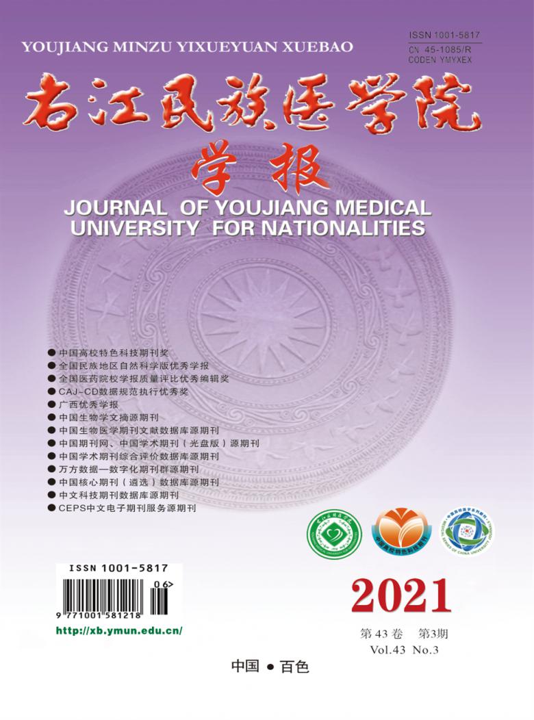 右江民族医学院学报封面
