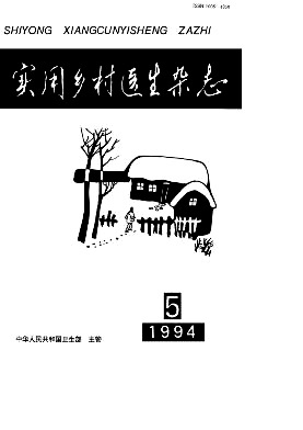 实用乡村医生封面