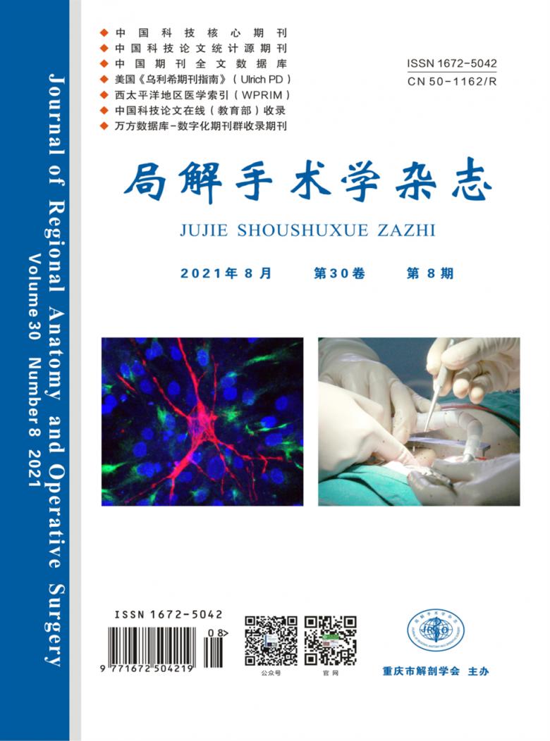 局解手术学封面