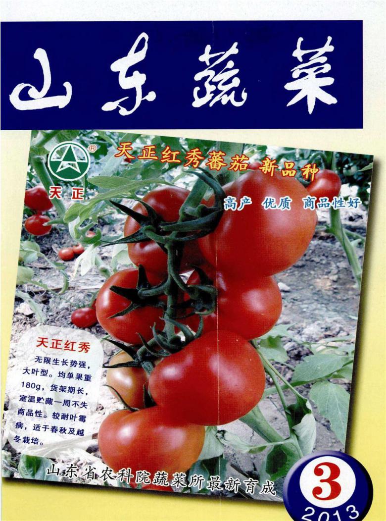 山东蔬菜封面