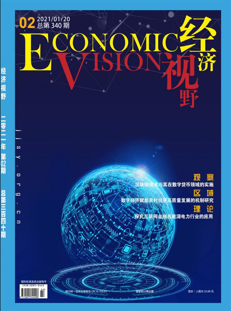 经济视野封面