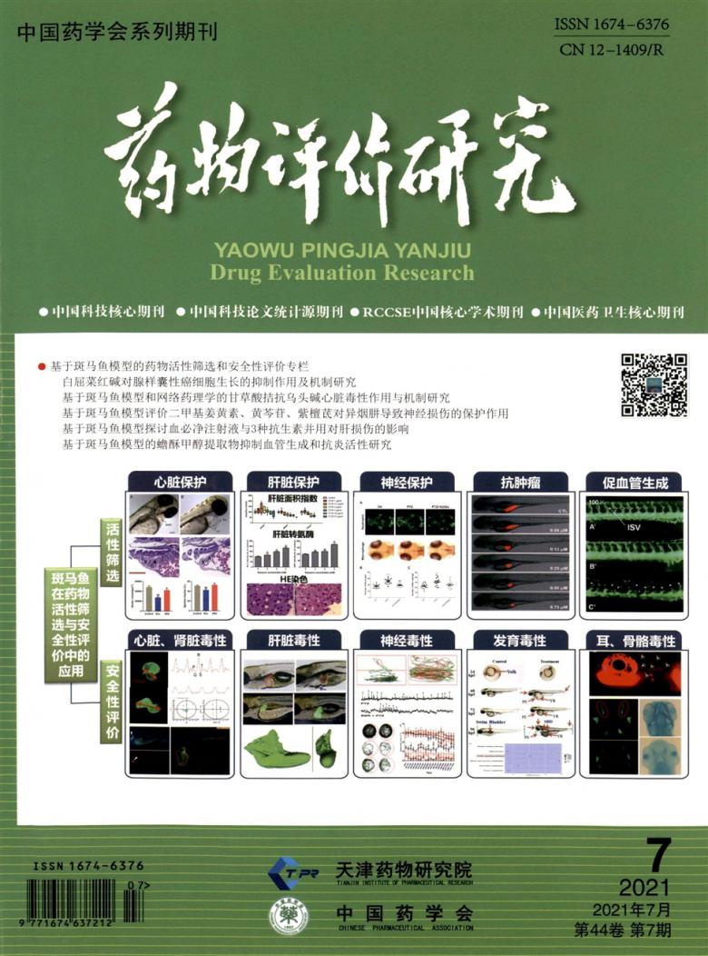 药物评价研究封面