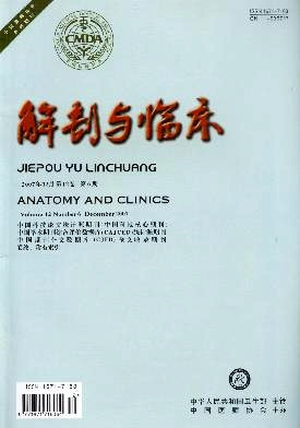 解剖与临床封面